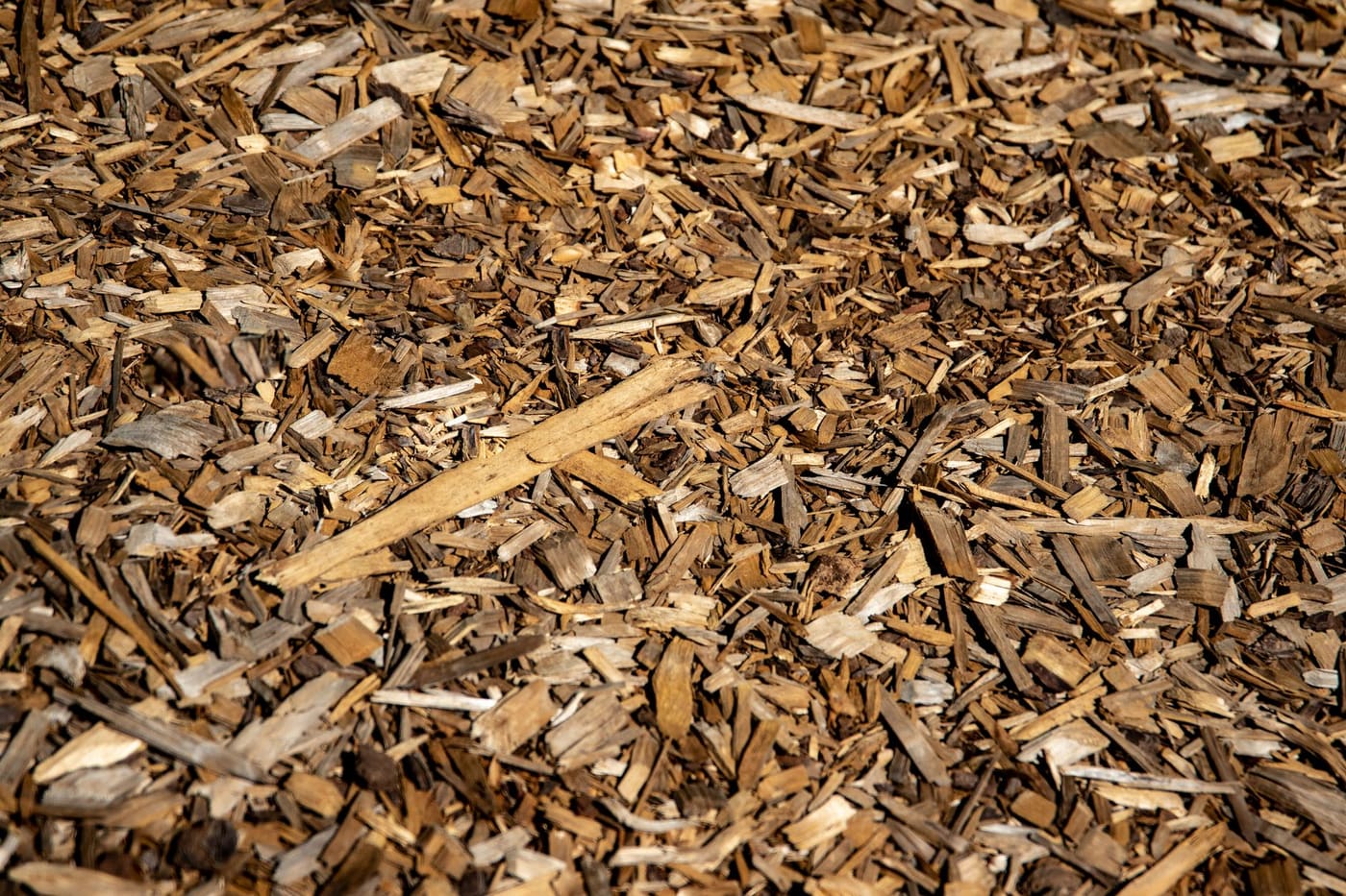 Close-up of shredded brown bark mulch in sunlight