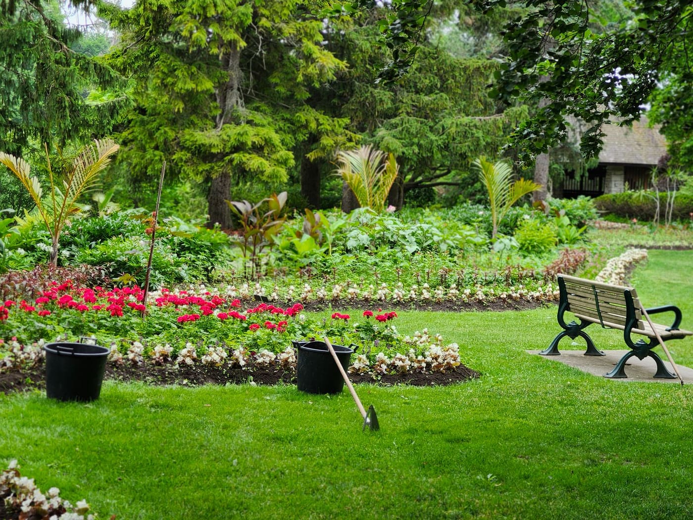 Flower bed with a crisp edge beside a mown lawn and a bench