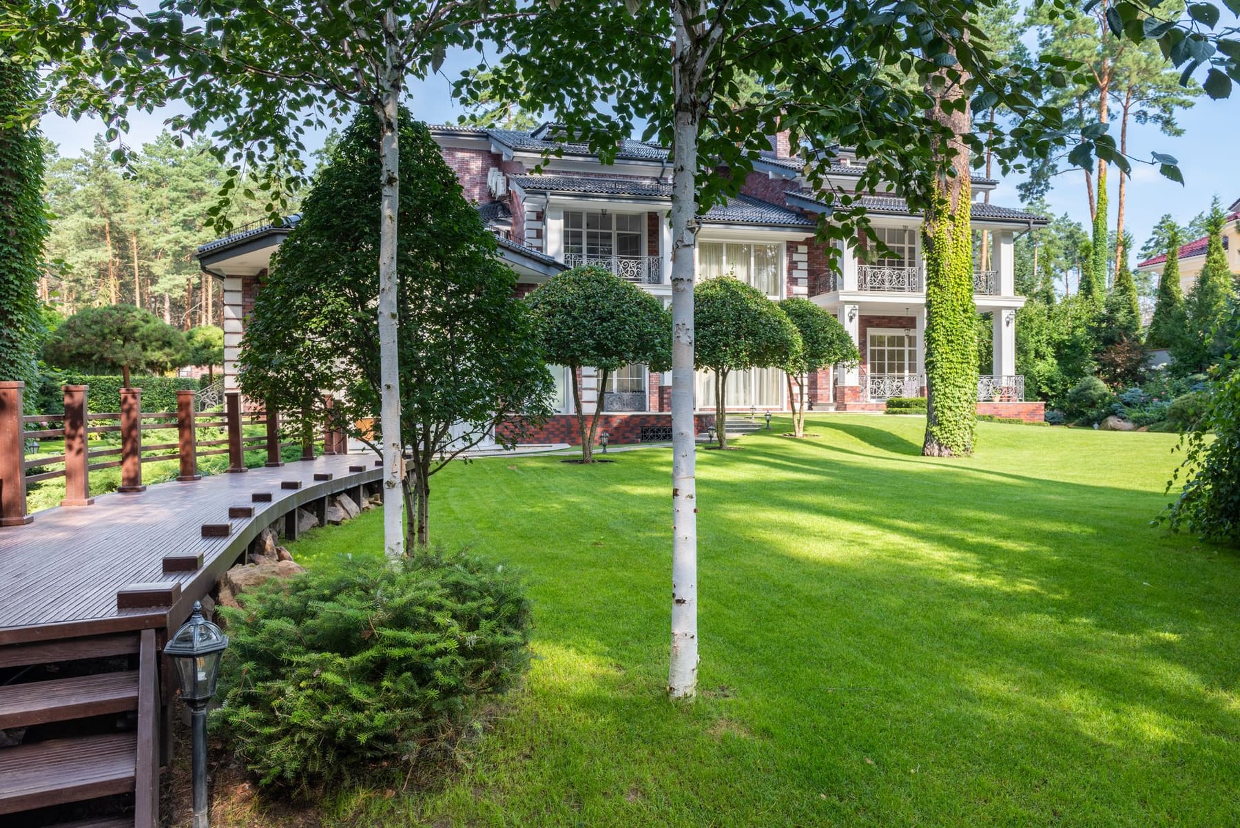A sunny green lawn with birch trees and a house in the distance