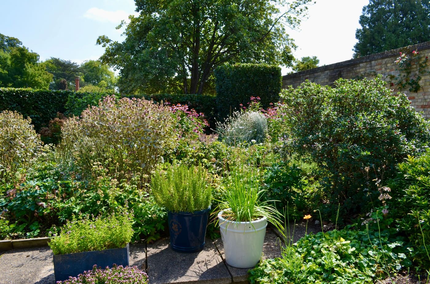 Garden beds of shrubs and perennials with potted grasses beside a paved path